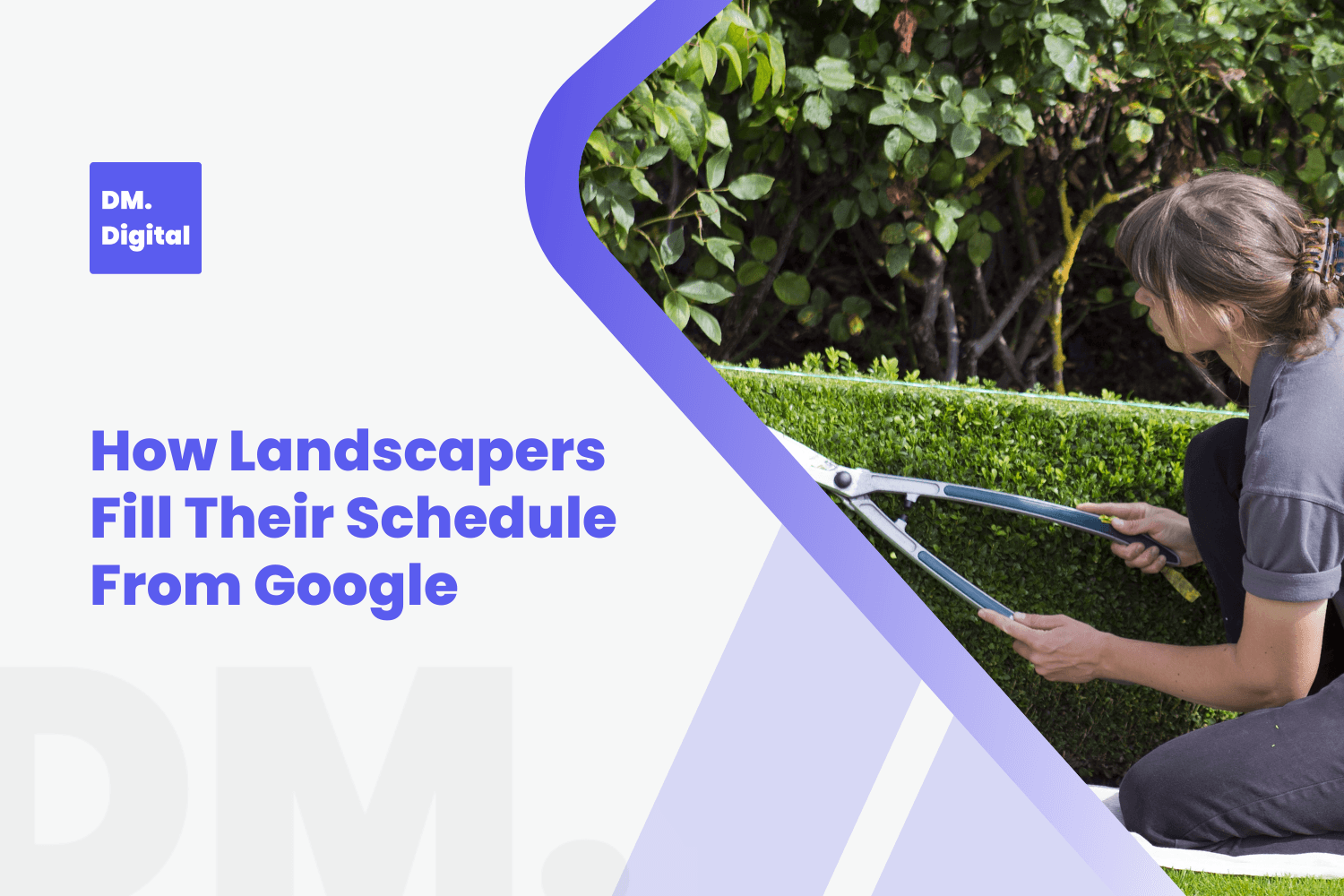 Landscaper trimming a neat green hedge with large pruning shears outdoors